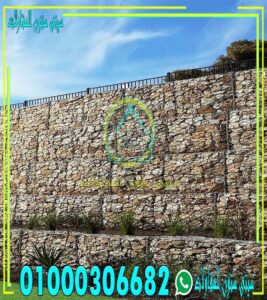 جيبونات دبش